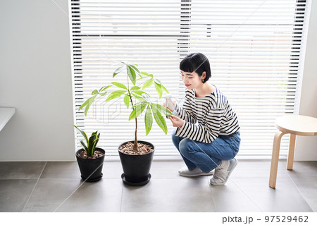 部屋で観葉植物の世話をする若い女性 97529462