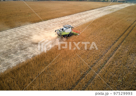 Aerial view of combine harvester working during harvesting season on large ripe wheat field. Agriculture concept Aerial view of combine harvester working during harvesting season on large ripe wheat field. Agriculture concept 97529993