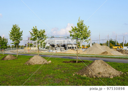 Planting of new trees in the improvement of the surrounding environment of a new industrial facility Planting of new trees in the improvement of the surrounding environment of a new industrial facility 97530898