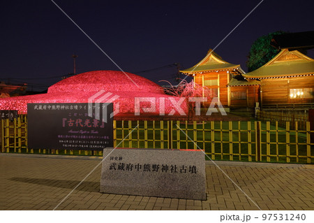 国史跡武蔵府中熊野神社古墳まつり~古墳ライトアップ『古代光景』 国史跡武蔵府中熊野神社古墳まつり~古墳ライトアップ『古代光景』 97531240