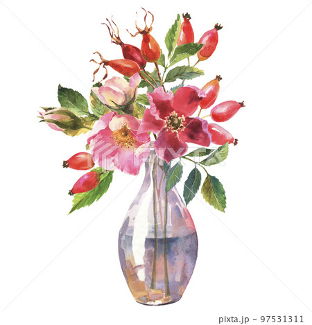 Watercolor bouquet of wild rose flowers and leaves on transparent vase, hand drawn floral illustration isolated on a white background. 97531311