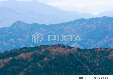 高尾山の紅葉 高尾山の紅葉 97534341
