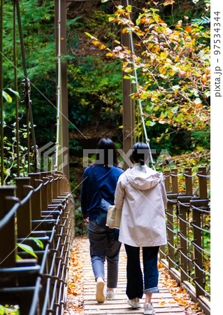 高尾山 四号路 吊り橋 高尾山 四号路 吊り橋 97534344