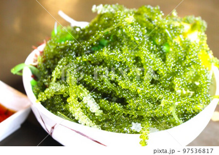 キラキラぷちぷち感が病みつきな海ぶどう キラキラぷちぷち感が病みつきな海ぶどう 97536817