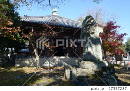 秋の清涼寺　一切経蔵　京都市右京区嵯峨 97537287