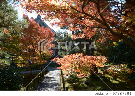 秋の清涼寺　境内の紅葉　京都市右京区嵯峨 97537291