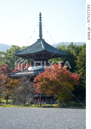 秋の清涼寺 多宝塔 京都市右京区嵯峨 秋の清涼寺 多宝塔 京都市右京区嵯峨 97537293