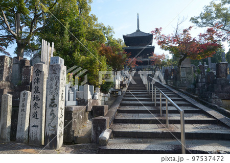 金戒光明寺　道標と三重塔　京都市左京区黒谷 97537472