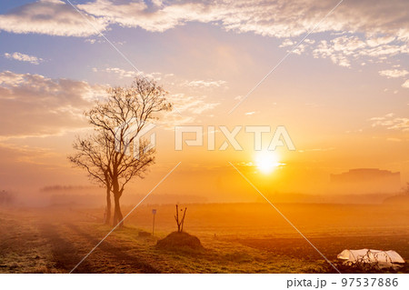 「見沼田んぼ」冬の朝　霧の立ち込める美しい風景 97537886