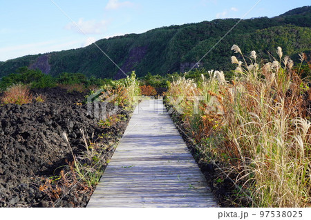 火山遊歩道の通路(東京都三宅島) 火山遊歩道の通路(東京都三宅島) 97538025