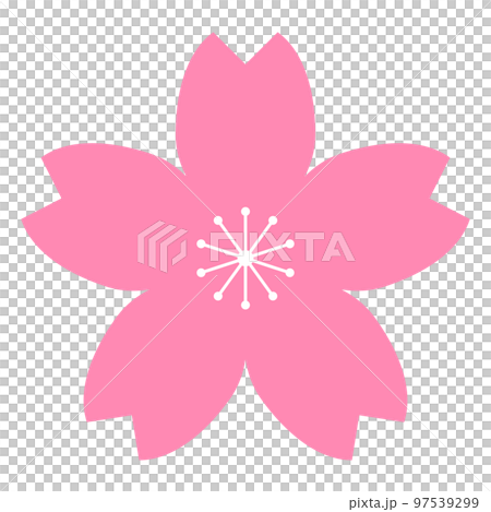 Simple cherry blossom icon Simple cherry blossom icon 97539299