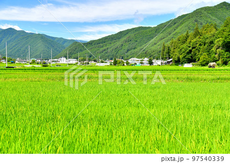 武石公園周辺の風景(長野県上田市)【2022.8】 武石公園周辺の風景(長野県上田市)【2022.8】 97540339