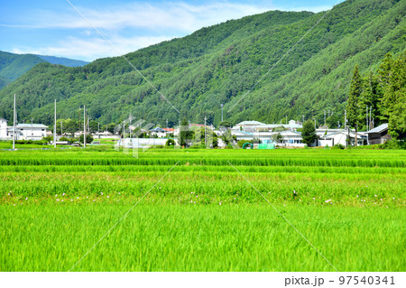 武石公園周辺の風景(長野県上田市)【2022.8】 武石公園周辺の風景(長野県上田市)【2022.8】 97540341