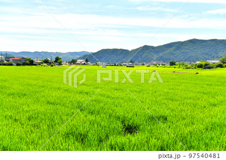 上田市武石 中心街周辺の風景(長野県上田市)【2022.8】 上田市武石 中心街周辺の風景(長野県上田市)【2022.8】 97540481