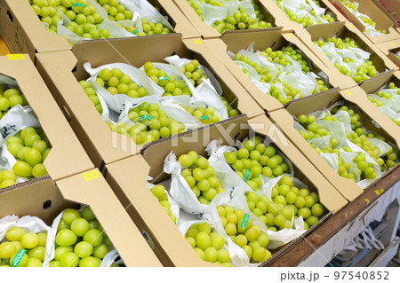 シャインマスカットの直売所 シャインマスカットの直売所 97540852