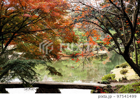 色とりどりの紅葉に染まる日本の秋景色 色とりどりの紅葉に染まる日本の秋景色 97541499