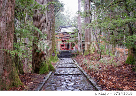栃木県日光市 瀧尾神社参道 栃木県日光市 瀧尾神社参道 97541619