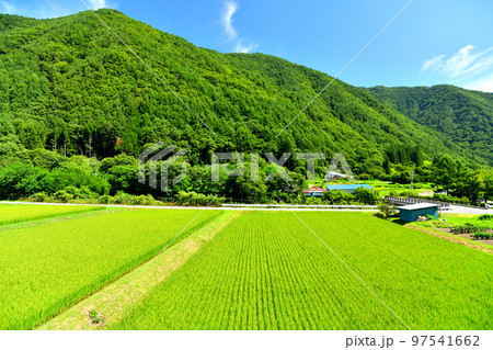 上小寺尾橋/武石川周辺の風景(長野県上田市)【2022.8】 上小寺尾橋/武石川周辺の風景(長野県上田市)【2022.8】 97541662