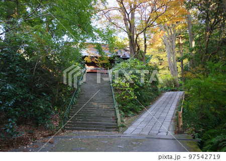 妙本寺の紅葉 妙本寺の紅葉 97542719