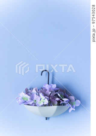 梅雨の晴れ間 97543028