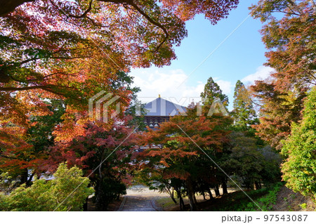 東大寺鐘楼が丘から猫段と東大寺を見下ろす 東大寺鐘楼が丘から猫段と東大寺を見下ろす 97543087