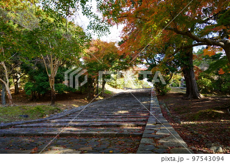 東大寺猫段下から鐘楼が丘を見上げる 97543094