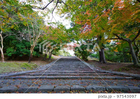 東大寺猫段下から鐘楼が丘を見上げる 97543097