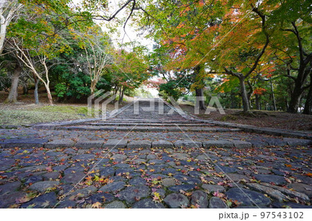 東大寺猫段下から鐘楼が丘を見上げる 東大寺猫段下から鐘楼が丘を見上げる 97543102