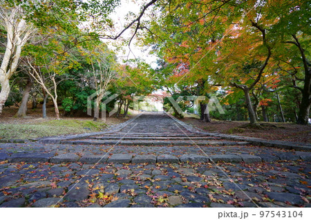 東大寺猫段下から鐘楼が丘を見上げる 97543104