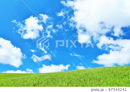 爽やかな夏の青空と新緑の草原風景 97543241