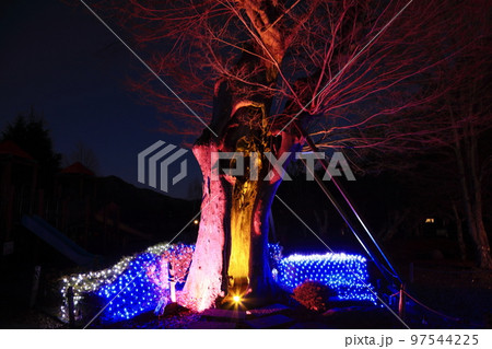 煌めくイルミネーション 97544225