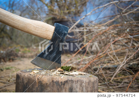 Hatchet or ax standing upright in a tree stump Hatchet or ax standing upright in a tree stump 97544714
