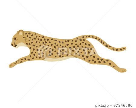 走っている、チーターのイラスト 97546390
