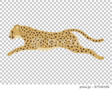 走っている、チーターのイラスト 97546390