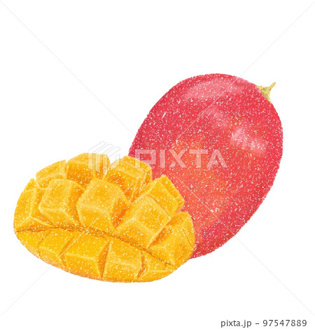 マンゴー(ダイスカット付き) マンゴー(ダイスカット付き) 97547889