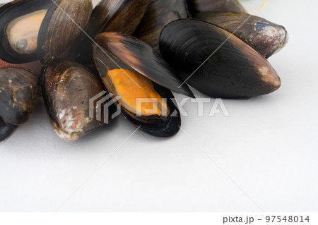 ムール貝の盛り合わせ　 97548014
