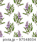 Color Sage Pattern in Hand-Drawn Style 97548034