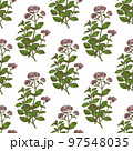 Color Oregano Pattern in Hand-Drawn Style 97548035