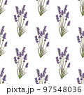 Color Lavender Pattern in Hand-Drawn Style 97548036