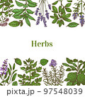 Color Template with Herbs in Hand-Drawn Style 97548039
