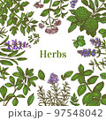 Color Template with Herbs in Hand-Drawn Style 97548042