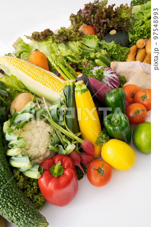 夏野菜の盛り合わせ 夏野菜の盛り合わせ 97548993