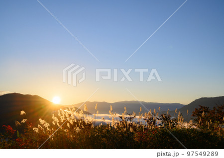 新潟　枝折峠の朝 97549289