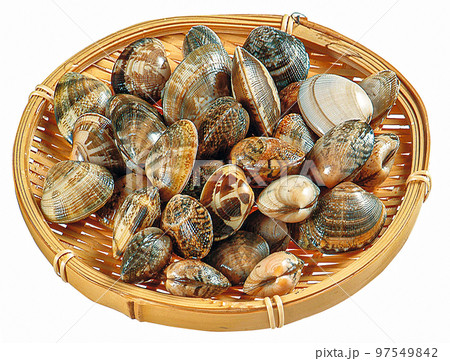 あさり笊盛り 97549842