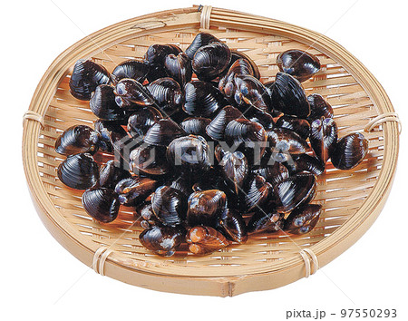 しじみ笊盛り 97550293