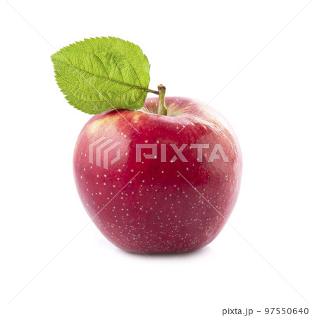 Single apple fruits with leaves on white backgrounds. Single apple fruits with leaves on white backgrounds. 97550640