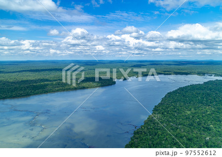river in the rain forest of south america river in the rain forest of south america 97552612