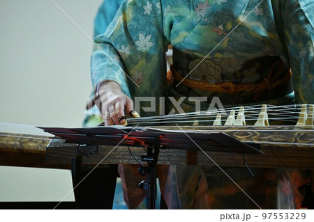 箏（琴）演奏 97553229