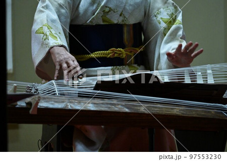 箏（琴）演奏 97553230