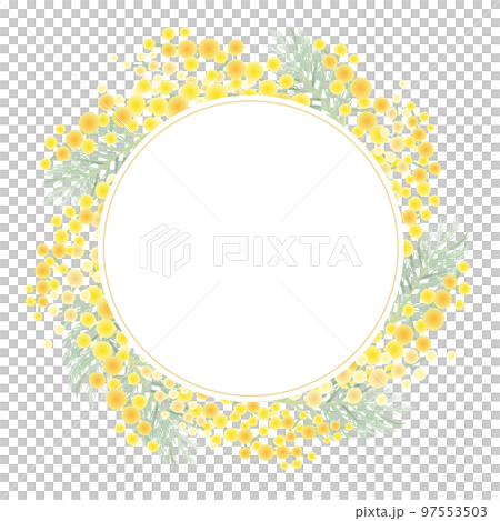 ミモザのベクターイラストフレーム背景 97553503